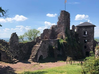 Burgruine Hohnstein Ansicht