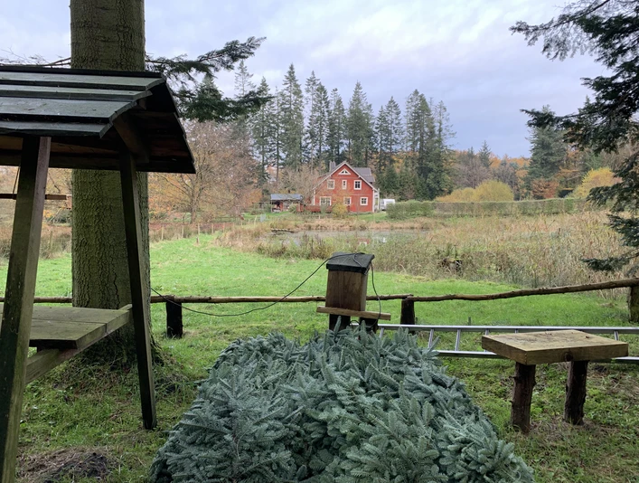 Gutshaus Forstgut Quellental