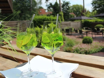Mittwald Hotel & MCM Restaurant Zwei Aperitifgläser mit grünen Getränken und Minze stehen auf einem Holztisch im sonnigen Garten.