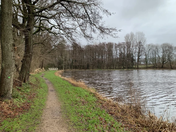 Mühlenteich mit Brücke
