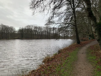 Mühlenteich
