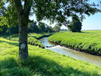 Swistmündung in der Erft bei Bliesheim