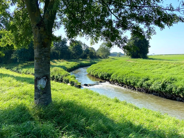 Swistmündung in der Erft bei Bliesheim