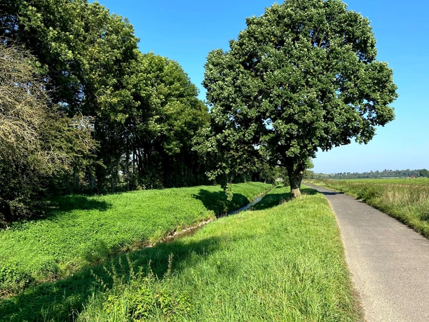 Entlang der Swist in Richtung Erft