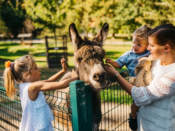 Tierpark Freiberg Tierpark Freiberg