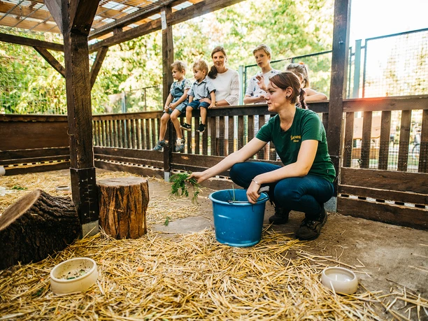 Feeding Freiberg Zoo