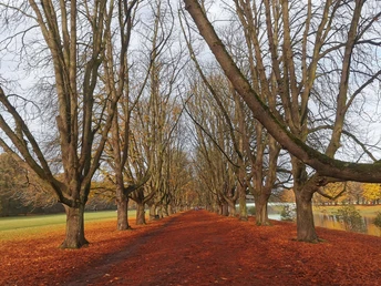 Herbst am Decksteiner Weiher