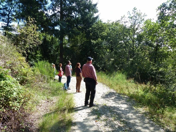 2waldbaden-cuxhaven_Annette Bernjus.jpg