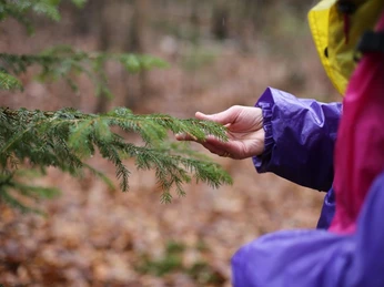 3waldbaden-cuxhaven_Annette Bernjus.jpg