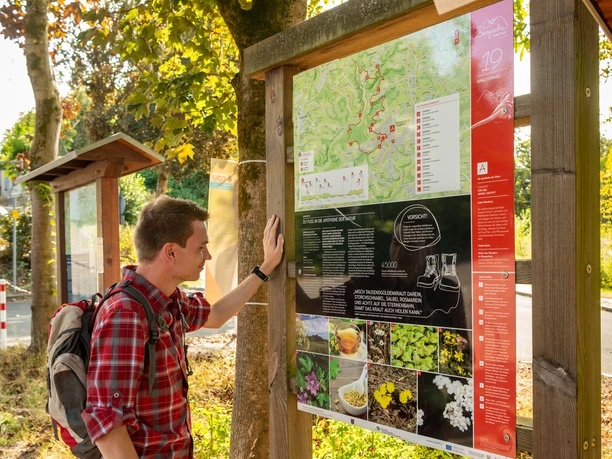 Streifzug Kräuterweg <p>Ein Wanderer betrachtet eine Informationstafel an einem Waldweg in Neunkirchen-Seelscheid.</p>