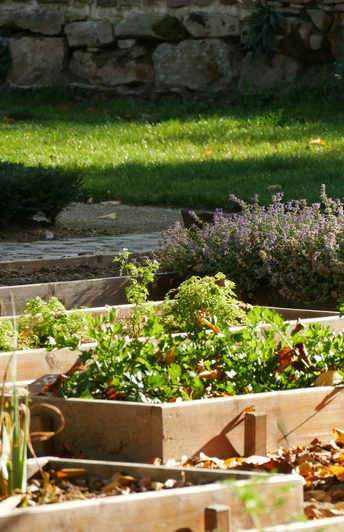 Im Klostergarten der Abtei Marienmünster gedeihen Gemüse- und Kräuterbeete unter strahlender Sonne.