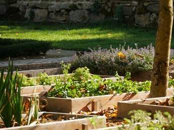 Im Klostergarten der Abtei Marienmünster gedeihen Gemüse- und Kräuterbeete unter strahlender Sonne.