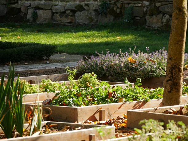 Im Klostergarten der Abtei Marienmünster gedeihen Gemüse- und Kräuterbeete unter strahlender Sonne.