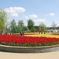 Gartenschaupark Ein bunter Blumengarten mit roten und gelben Tulpen, Spaziergänger und Bäume bei Sonnenschein.