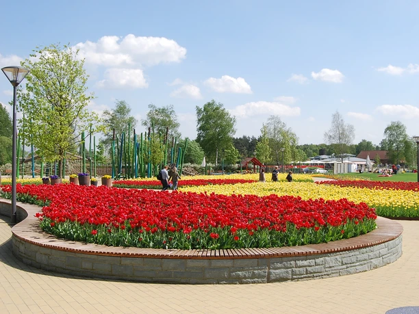 Gartenschaupark Ein bunter Blumengarten mit roten und gelben Tulpen, Spaziergänger und Bäume bei Sonnenschein.
