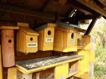 Schulwald Vogelkästen