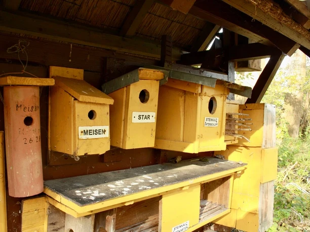 Schulwald Vogelkästen