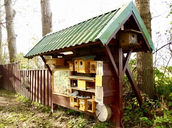 Schulwald Infokasten