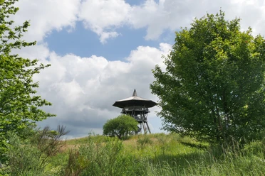 Der Eggeturm am Preußischen Velmerstot Eggeturm am Velmerstot in hügeliger Landschaft, umgeben von grünen Wiesen und Bäumen.