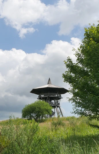 Der Eggeturm am Preußischen Velmerstot Eggeturm am Velmerstot in hügeliger Landschaft, umgeben von grünen Wiesen und Bäumen.