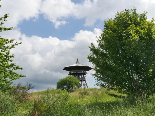 Der Eggeturm am Preußischen Velmerstot Eggeturm am Velmerstot in hügeliger Landschaft, umgeben von grünen Wiesen und Bäumen.