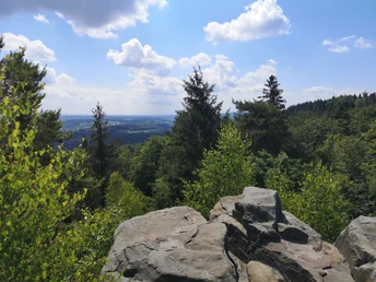 Blick über bewaldete Hügel, umgeben von prächtigen Laub- und Nadelbäumen unter blauem Himmel.