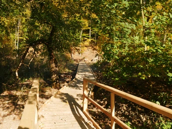 Holzweg an der Abtei Marienmünster Holzweg führt durch grüne Wälder nahe der Abtei Marienmünster, gesäumt von herbstlichem Laub.