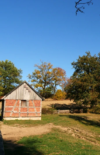 Ein traditionelles Fachwerkhäuschen steht malerisch vor einem Waldrand neben einem kleinen Bach.