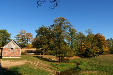 Fachwerkhäuschen an der Niese Ein traditionelles Fachwerkhäuschen steht malerisch vor einem Waldrand neben einem kleinen Bach.