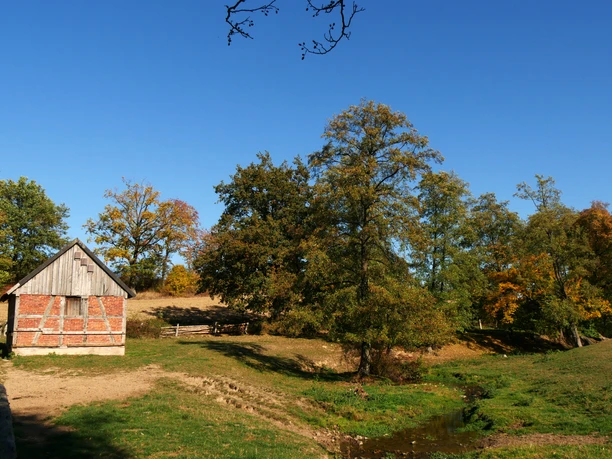 Fachwerkhäuschen an der Niese Ein traditionelles Fachwerkhäuschen steht malerisch vor einem Waldrand neben einem kleinen Bach.