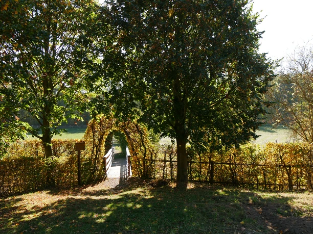Brücke über die Niese bei Kollerbeck, umgeben von Bäumen und herbstlichem Laub in ruhiger Atmosphäre.