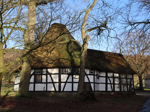 Historische Fachwerkmühle mit Reetdach, umgeben von kahlen Bäumen auf einem sonnigen Wintertag.