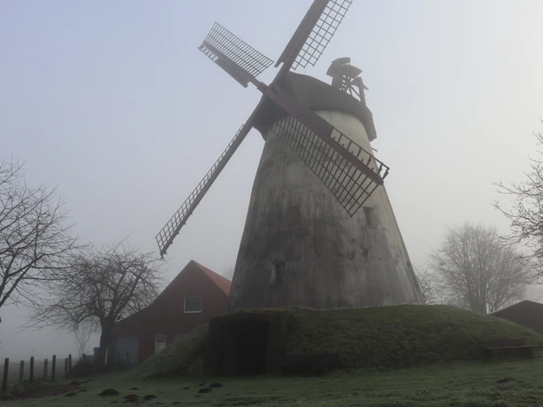 Windmühle Struckhof Historische Windmühle Struckhof im Nebel, umgeben von Bäumen und einem roten Gebäude.