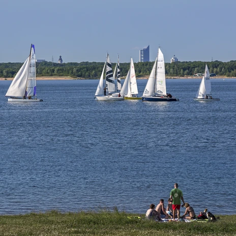Eine Gruppe Menschen sitzt am Ufer des Cospudener Sees, auf dem Segelboote und andere Wassersportler unterwegs sind, im Hintergrund zu sehen die Leipziger Skyline, Freizeit, Wassersport, Leipziger NeuseenlandA group of people sitting on the shore of Lake Cospuden, on which sailing boats and other water sports enthusiasts are sailing, in the background you can see the Leipzig skyline, leisure, water sports, Leipziger NeuseenlandSkupina lidí sedí na břehu jezera Cospuden, po kterém se pohybují plachetnice a další milovníci vodních sportů, v pozadí je vidět panorama Lipska, volný čas, vodní sporty, Leipziger NeuseenlandGrupa ludzi siedzących na brzegu jeziora Cospuden, po którym pływają żaglówki i inni entuzjaści sportów wodnych, w tle widać panoramę Lipska, wypoczynek, sporty wodne, Leipziger NeuseenlandEen groep mensen zittend aan de oever van het Cospudenmeer, waarop zeilboten en andere watersporters varen, op de achtergrond is de skyline van Leipzig te zien, vrije tijd, watersport, Leipziger NeuseenlandUn gruppo di persone sedute sulla riva del lago Cospuden, sul quale viaggiano barche a vela e altri appassionati di sport acquatici, sullo sfondo si vede lo skyline di Lipsia, tempo libero, sport acquatici, Leipziger Neuseenland