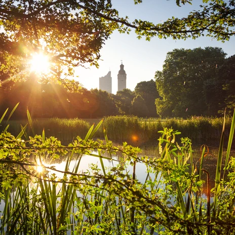 Pond in Johannapark at sunrise - Green Leipzig Sunny view from the edge of the pond in Johannpark through the greenery to the New Town Hall and the Leipzig City Tower, Green Leipzig, Leisure, Parks