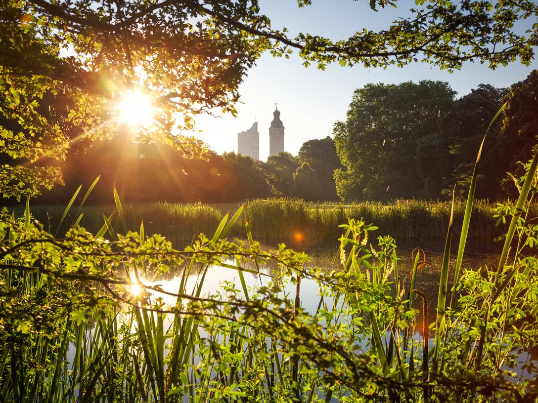 Teich im Johannapark beim Sonnenaufgang - Grünes Leipzig Sonniger Blick vom Rande des Teichs im Johannpark durchs Grüne auf das Neue Rathaus und das Cityhochhaus Leipzig, Grünes Leipzig, Freizeit, ParksSłoneczne spojrzenie poprzez zieleń znad brzegu stawu w Johannpark na Nowy Ratusz i wieżowiec City w Lipsku, zielony Lipski, czas wolny, parkiLooking from the edge of the pond in Johanna Park over the green landscape towards the New Town Hall and the Leipzig City Tower in the sunshine, green spaces in Leipzig, leisure, parksVue ensoleillée du bord de l'étang du Johannapark à travers la végétation sur le nouvel hôtel de ville et le gratte-ciel Cityhochhaus de Leipzig, Leipzig verte, loisirs, parcsProsluněný pohled od jezírka v Johanině parku (Johannapark) zelení na Novou radnici a výškovou budovu Cityhochhaus v Lipsku, zelené Lipsko, volný čas, parky