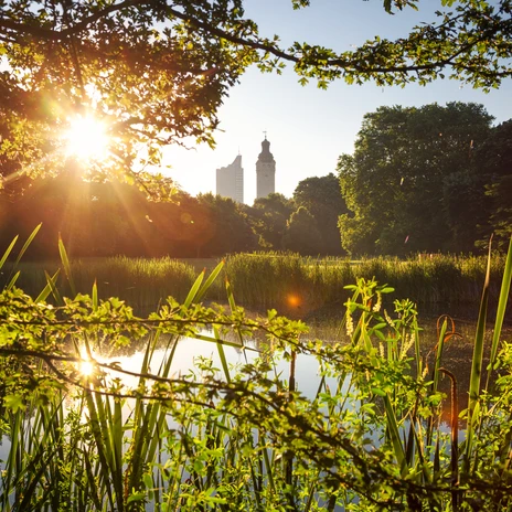 Teich im Johannapark beim Sonnenaufgang - Grünes Leipzig