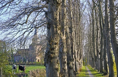 Lindenallee Cappel Kirche.jpg