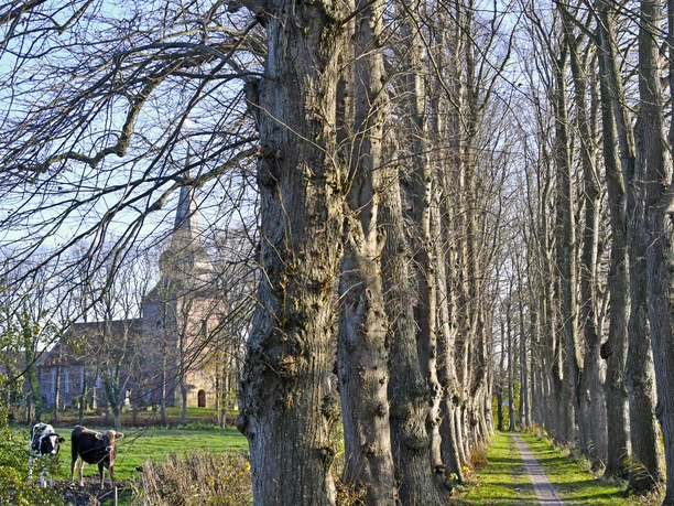Lindenallee Cappel Kirche.jpg