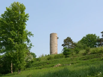 Heinturm Historischer runder Steinturm inmitten grüner Landschaft, umgeben von Bäumen und sanften Hügeln.