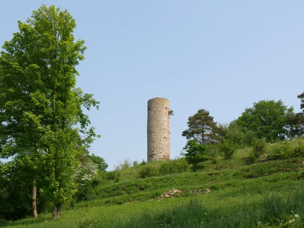 Heinturm Historischer runder Steinturm inmitten grüner Landschaft, umgeben von Bäumen und sanften Hügeln.