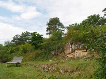 Landschaftsliege am Heinberg Eine Landschaftsliege mit Blick auf bewaldete Felsen und vereinzelte Bäume, in ländlicher Umgebung.