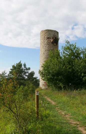 Runder Steinturm auf einem bewaldeten Hügel mit Pfad, umgeben von Bäumen und bewölktem Himmel.