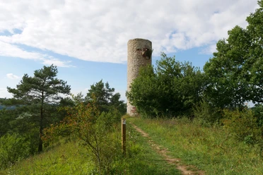 Heinturm Runder Steinturm auf einem bewaldeten Hügel mit Pfad, umgeben von Bäumen und bewölktem Himmel.