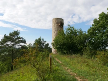 Heinturm Runder Steinturm auf einem bewaldeten Hügel mit Pfad, umgeben von Bäumen und bewölktem Himmel.
