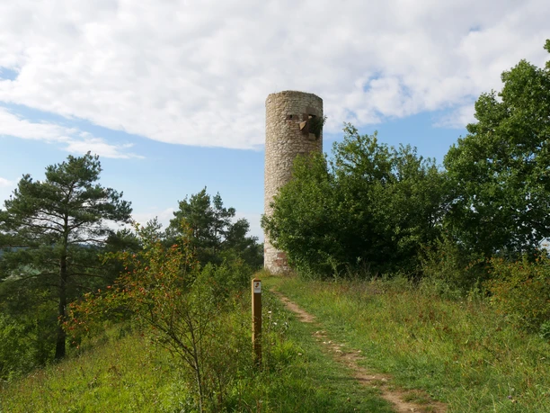 Heinturm Runder Steinturm auf einem bewaldeten Hügel mit Pfad, umgeben von Bäumen und bewölktem Himmel.
