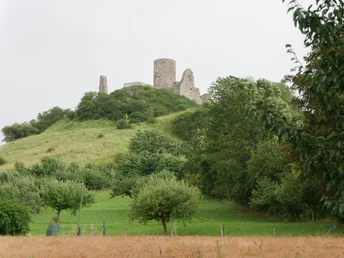 Burgruine Desenberg auf grünem Hügel, umgeben von Wiesen und Bäumen unter leicht bewölktem Himmel.