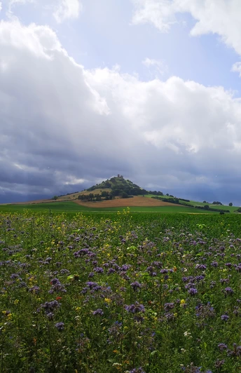 Ein grüner Hügel erhebt sich majestätisch unter einem dramatischen Himmel voller Wolken und Lichtstrahlen.