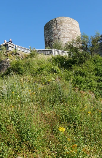 Ruine der mittelalterlichen Burg auf einem Hügel, umgeben von grüner Vegetation und blauem Himmel.