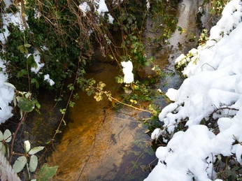 Verschneite Wapelaue im Ortsteil Liemke in Schloß Holte-Stukenbrock Verschneite Wapelaue im Ortsteil Liemke in Schloß Holte-Stukenbrock